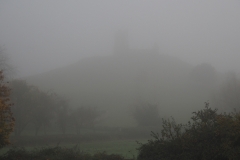 Burrow Mump Mist