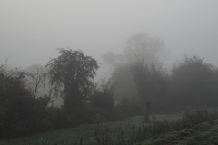 Burrowbridge Mist