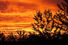 Burrowbridge Sunset 2