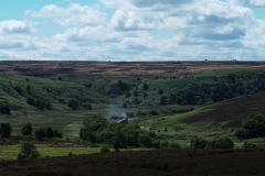 N York Moor 1