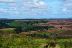 North York Moors 4