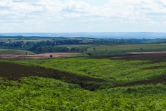 North York Moors 5