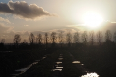 Aller Moor Dusk