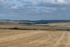 Wiltshire Field