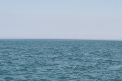 Bridlington 5