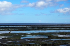 Doniford 1